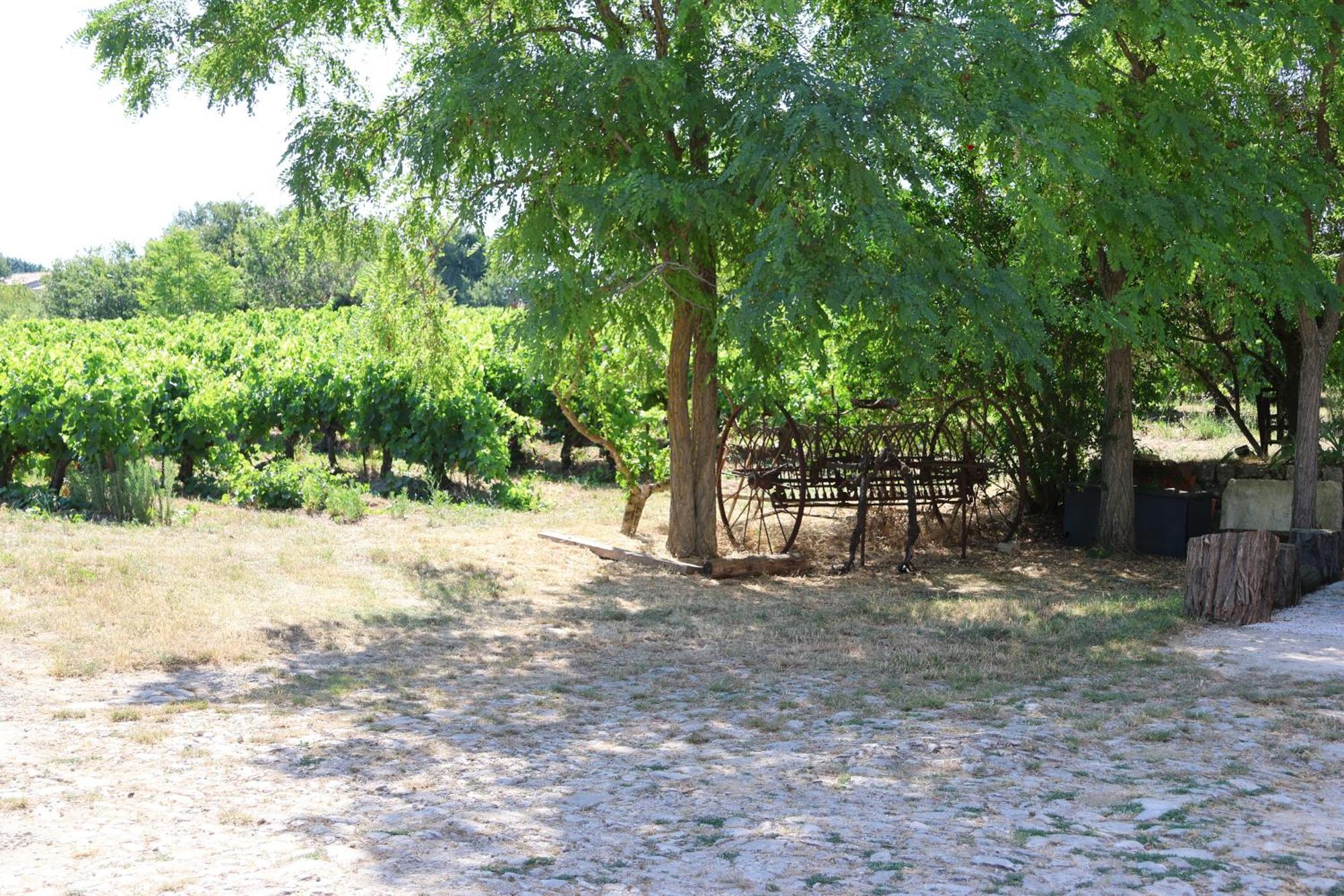Les Bruns Apartment Saignon Exterior photo